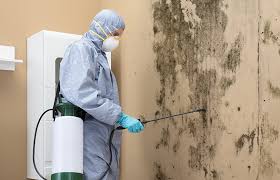 Mold Remediation for Vacation Homes in Cornwall, PA